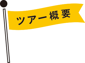 ツアー概要 アイコン